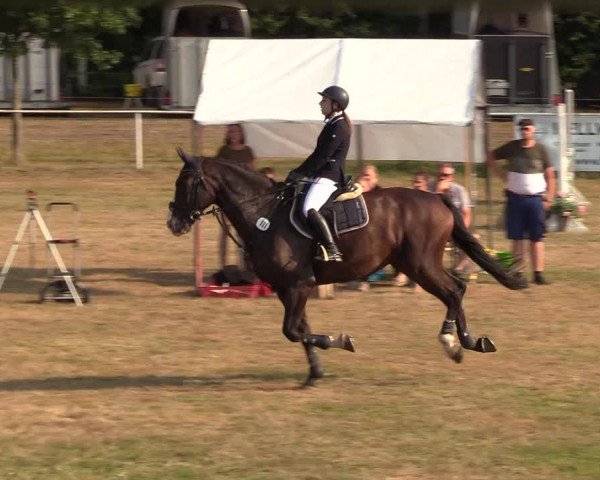Reitturnier Kellinghusen 2020