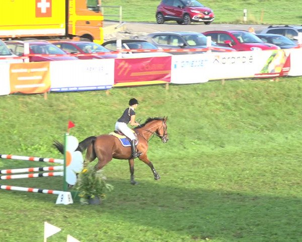 Reitturnier Aadorf 2020