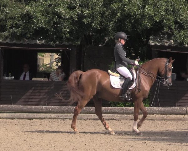 Reitturnier Datteln 2020