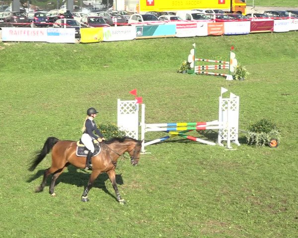 Reitturnier Aadorf 2020