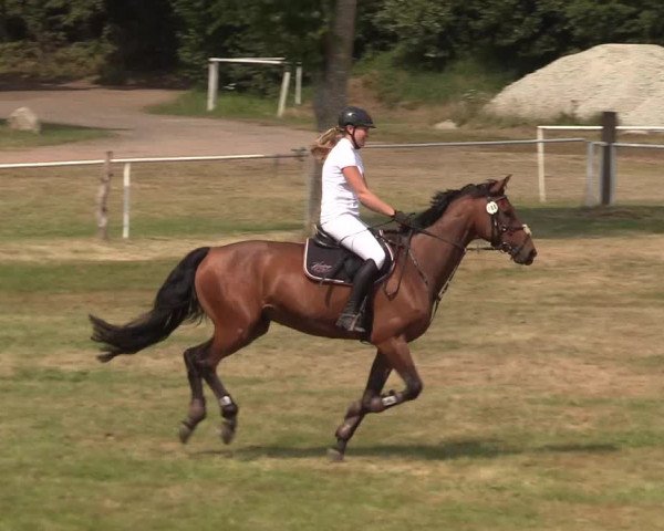 Reitturnier Kellinghusen 2020
