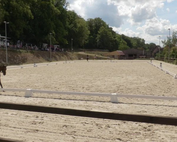 Reitturnier Bübinger Hof 2020