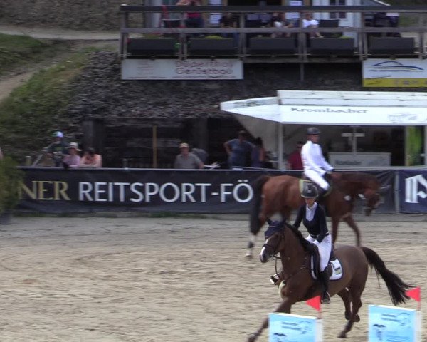 Reitturnier Siegen 2020