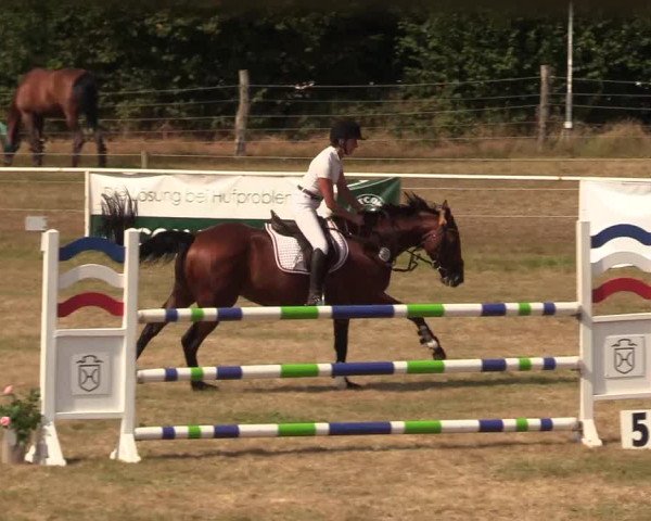 Reitturnier Kellinghusen 2020