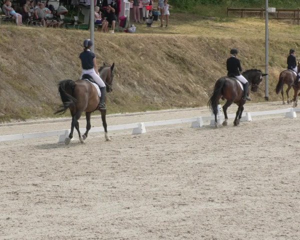 Reitturnier Bübinger Hof 2020