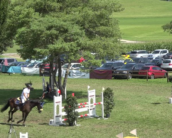 Reitturnier Aadorf 2020