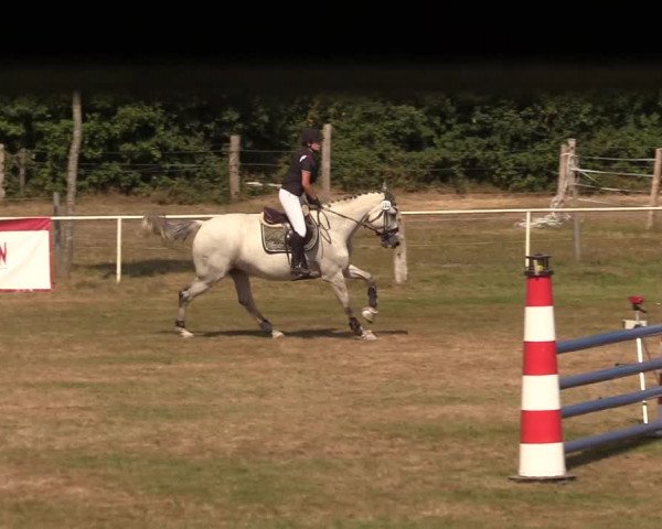 Reitturnier Kellinghusen 2020
