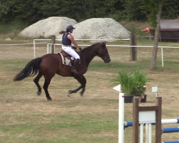 Reitturnier Kellinghusen 2020