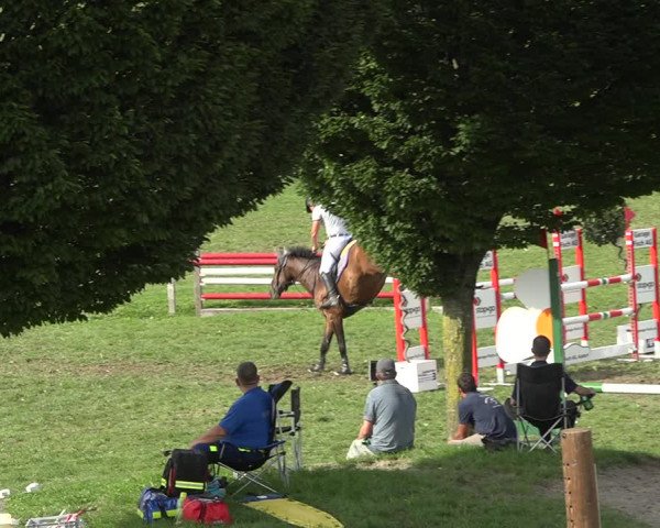 Reitturnier Aadorf 2020