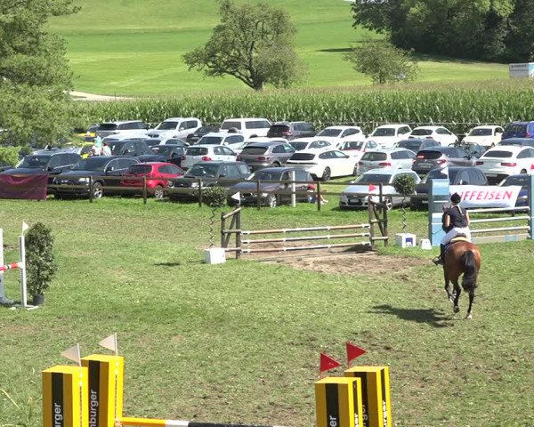 Reitturnier Aadorf 2020
