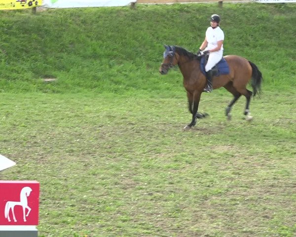 Reitturnier Aadorf 2020