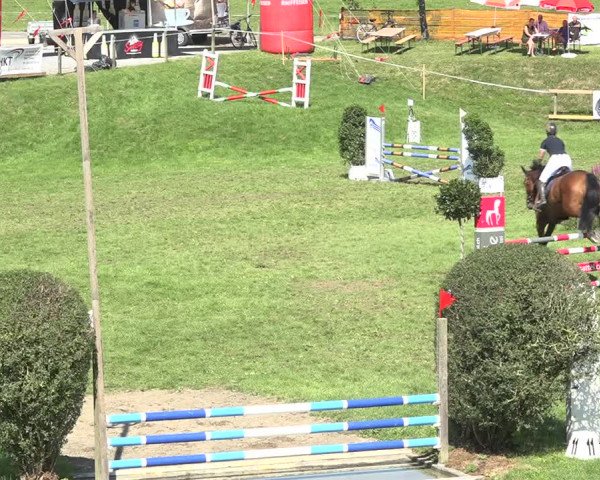 Reitturnier Aadorf 2020