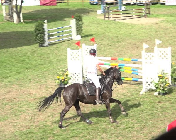 Reitturnier Aadorf 2020