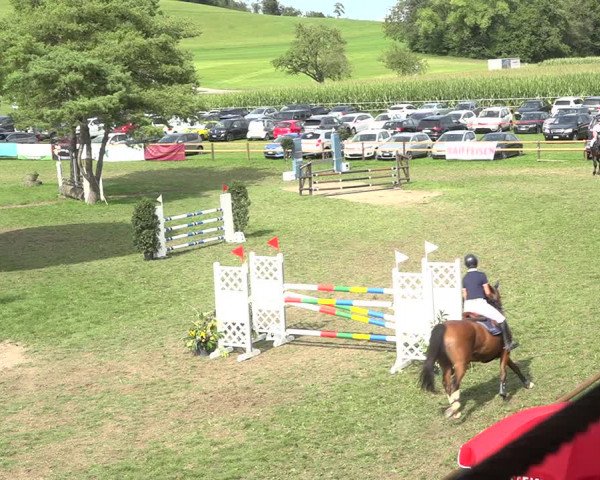 Reitturnier Aadorf 2020