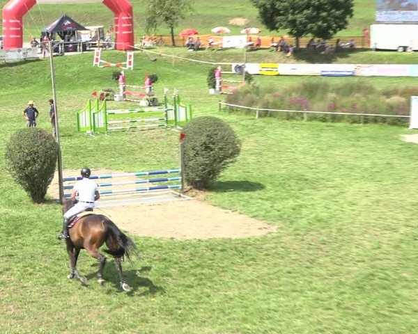 Reitturnier Aadorf 2020