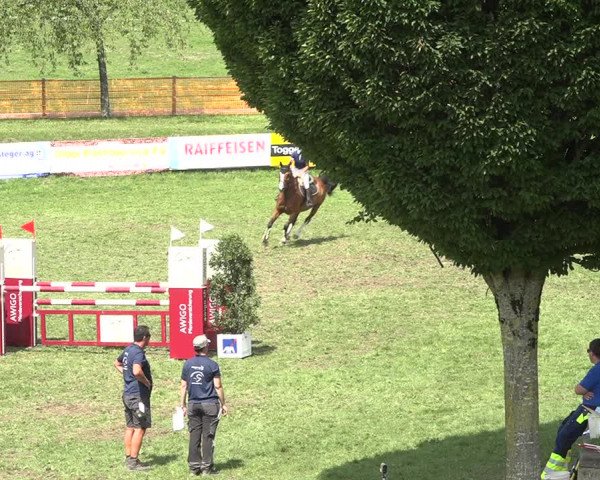 Reitturnier Aadorf 2020