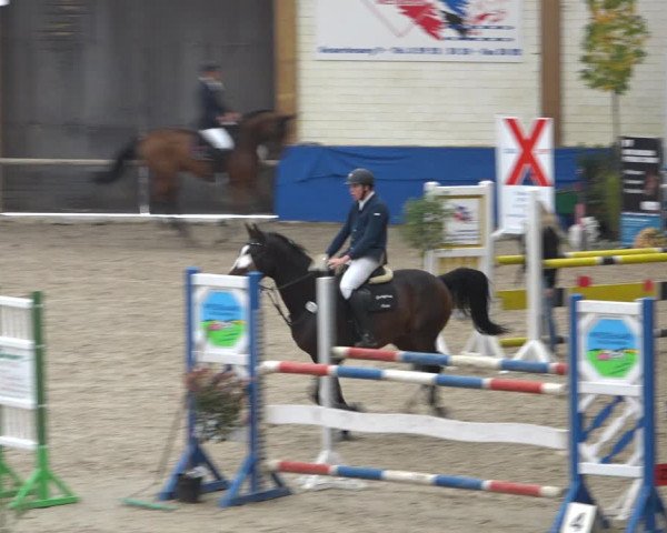 Reitturnier Sögel 2021