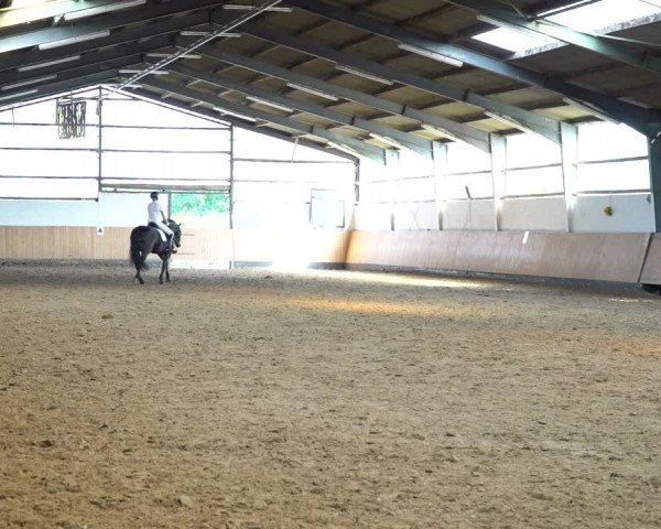 Reitturnier Datteln 2020