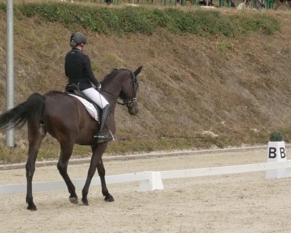 Reitturnier Bübinger Hof 2020