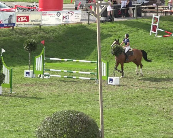 Reitturnier Aadorf 2020