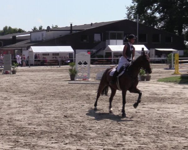 Reitturnier Datteln 2020