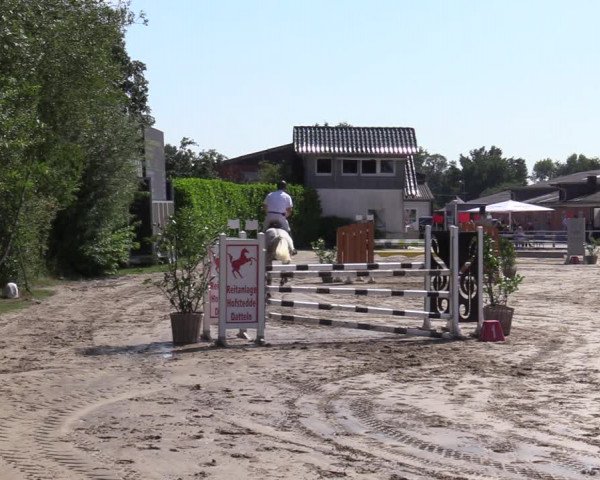 Reitturnier Datteln 2020