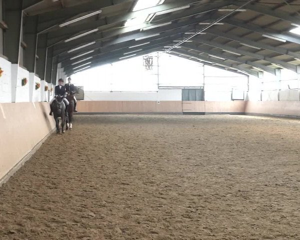 Reitturnier Datteln 2020