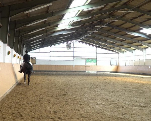 Reitturnier Datteln 2020