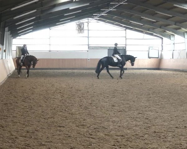 Reitturnier Datteln 2020