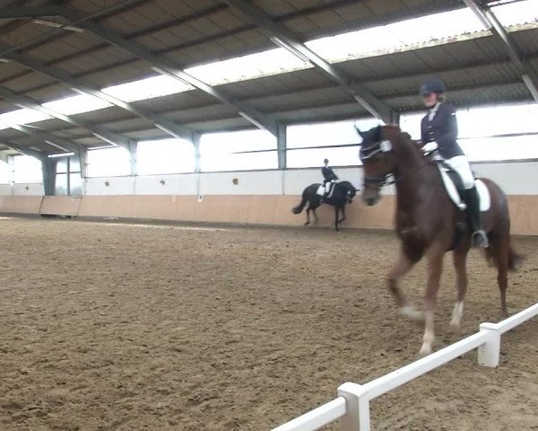 Reitturnier Datteln 2020