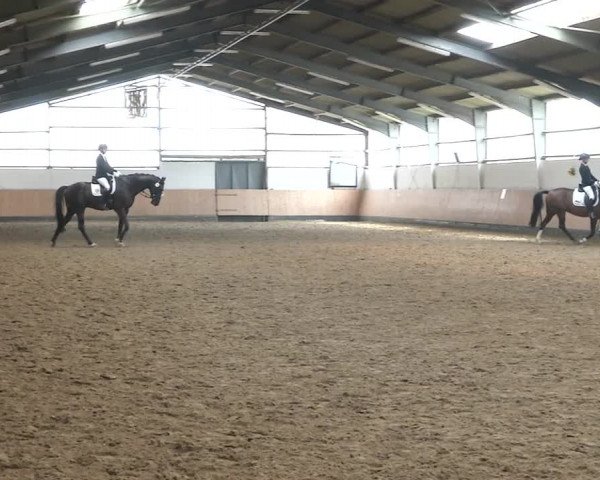 Reitturnier Datteln 2020