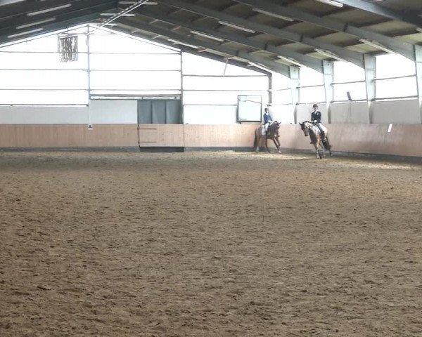 Reitturnier Datteln 2020