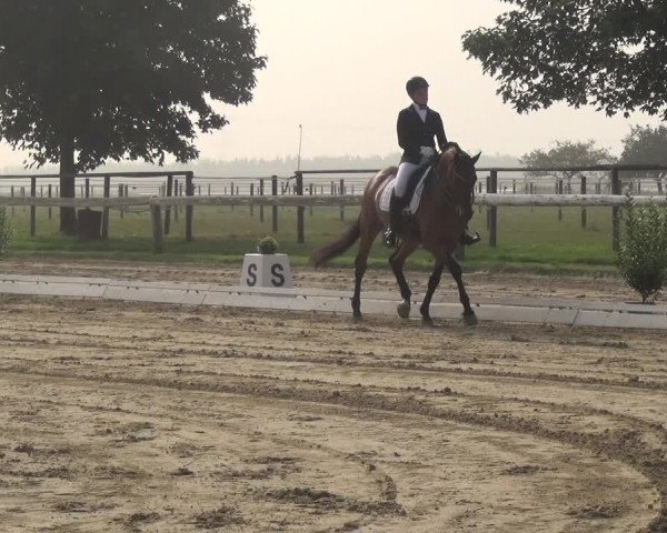 Reitturnier Kaarst-Holzbüttgen - Pannenbeckerhof 2020