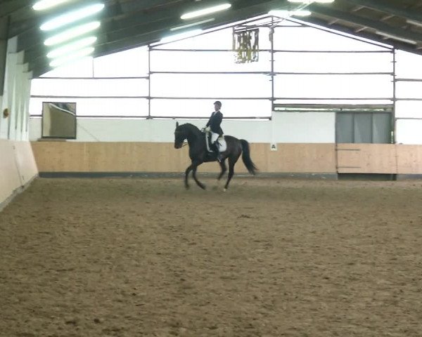 Reitturnier Datteln 2020