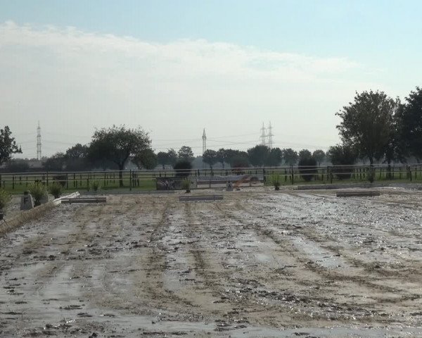 Reitturnier Kaarst-Holzbüttgen - Pannenbeckerhof 2020