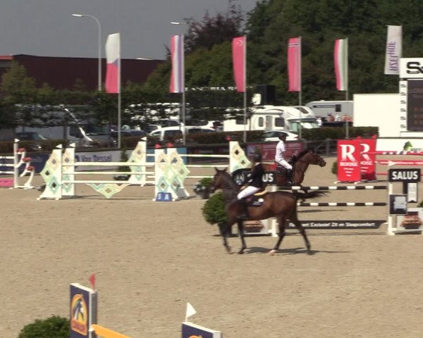 FEI Reitturnier Lier (BEL) 2020