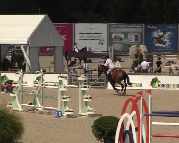 FEI Reitturnier Lier (BEL) 2020
