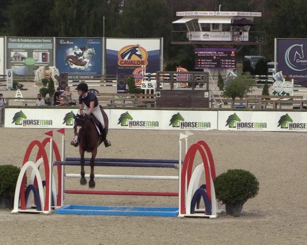 FEI Reitturnier Lier (BEL) 2020