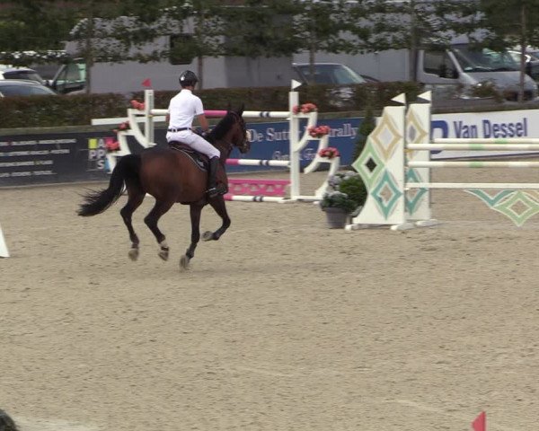 FEI Reitturnier Lier (BEL) 2020
