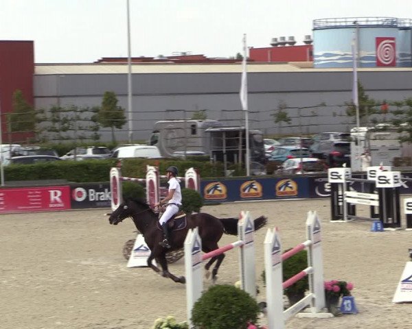 FEI Reitturnier Lier (BEL) 2020