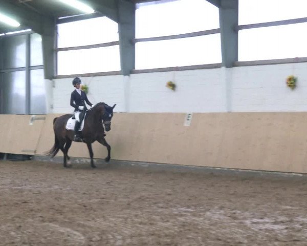 Reitturnier Datteln 2020
