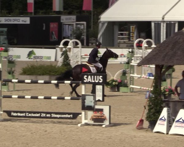 FEI Reitturnier Lier (BEL) 2020