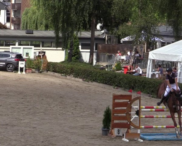 Reitturnier Siegen 2020