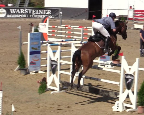 Reitturnier Siegen 2020