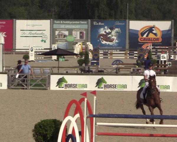 FEI Reitturnier Lier (BEL) 2020