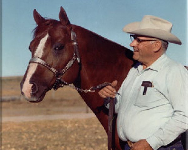 Deckhengst Two Eyed Jack (Quarter Horse, 1961, von Two D Two)