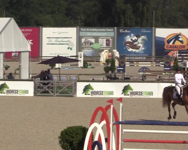 FEI Reitturnier Lier (BEL) 2020