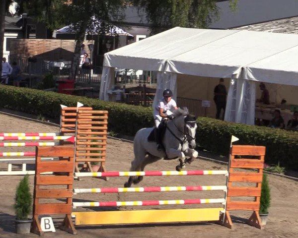 Reitturnier Siegen 2020