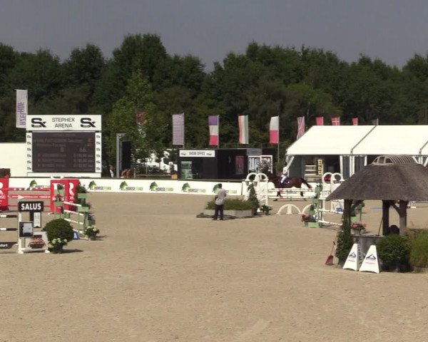 FEI Reitturnier Lier (BEL) 2020