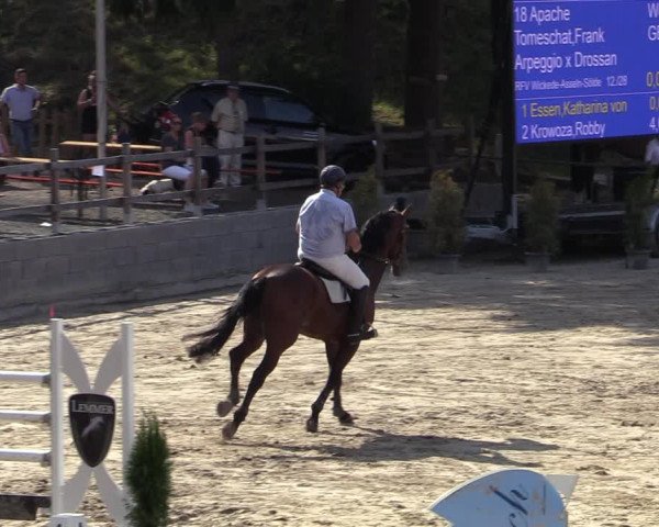 Reitturnier Siegen 2020
